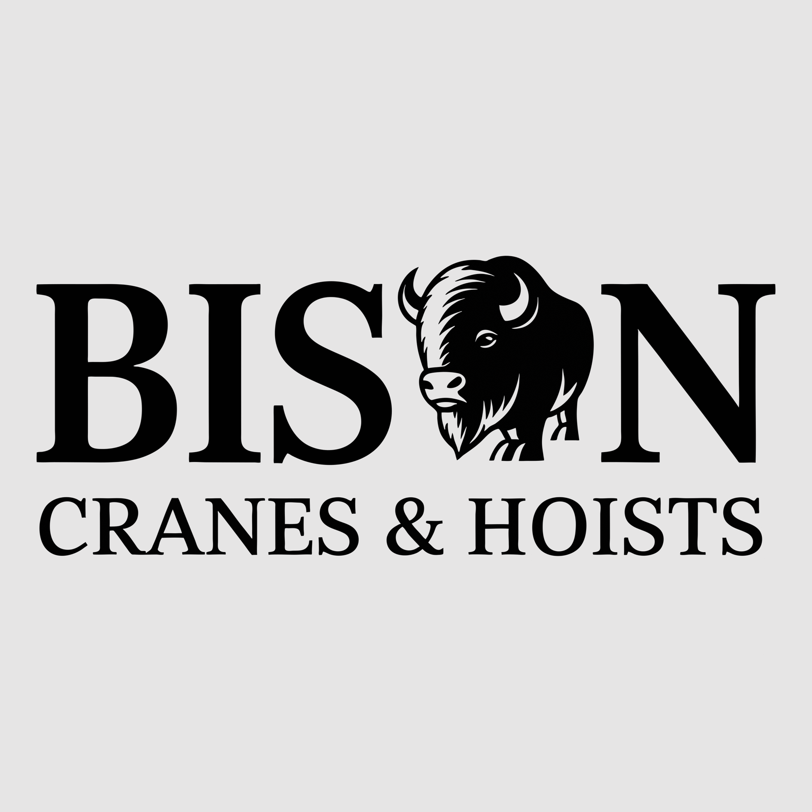 Bison Cranes and Hoists